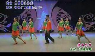 十大最有名的广场舞 杨艺广场舞第六季