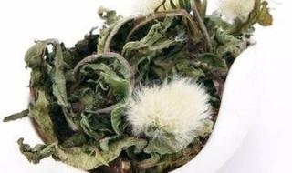 黄芪泡水喝会上火吗 喝黄芪茶差点喝死了